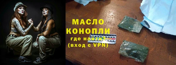 гидра Няндома