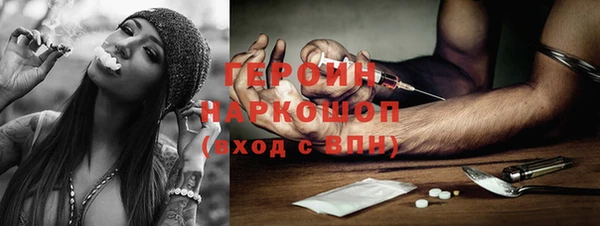 гидра Няндома