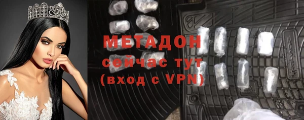 гидра Няндома