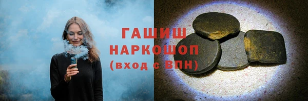гидра Няндома
