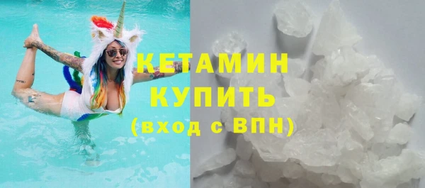 гидра Няндома
