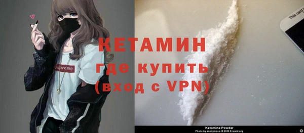 гидра Няндома