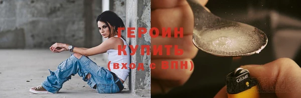 гидра Няндома