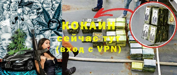 гидра Няндома