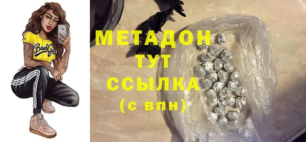 гидра Няндома