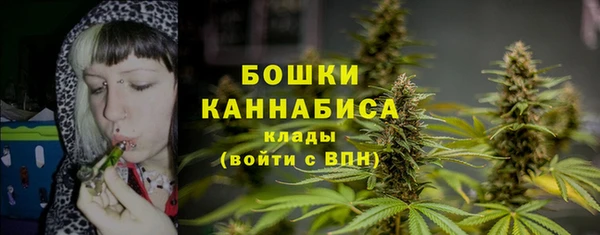 гидра Няндома
