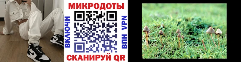 Галлюциногенные грибы ЛСД Полевской