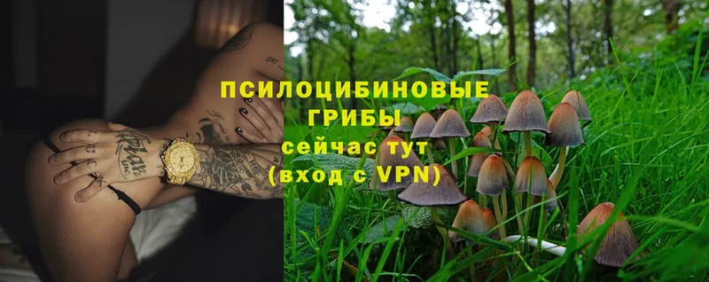 Псилоцибиновые грибы Magic Shrooms  Полевской 