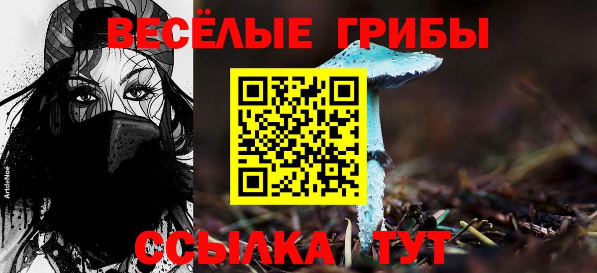 Полевской  купить   Вход с VPN  Псилоцибиновые грибы Psilocybine cubensis 
